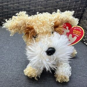 Ty Beanie Baby SCRAPPY Curly Fur Beige and White Dog Plush Toy with tag